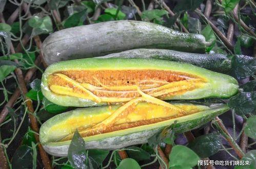 各种网红爆料在线吃瓜,在线吃瓜盛宴，揭秘娱乐圈幕后风云  第3张